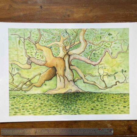 Yggdrasil: north and south